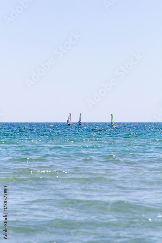 Sea sailboats in the sea on a juicy summer day
