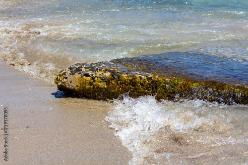 Stone with seaweed on the seashore on a sunny day with surf