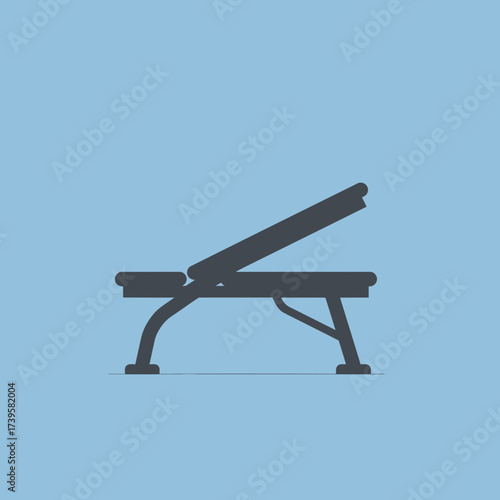 Adjustable Weight Bench for Strength Training and Exercise.