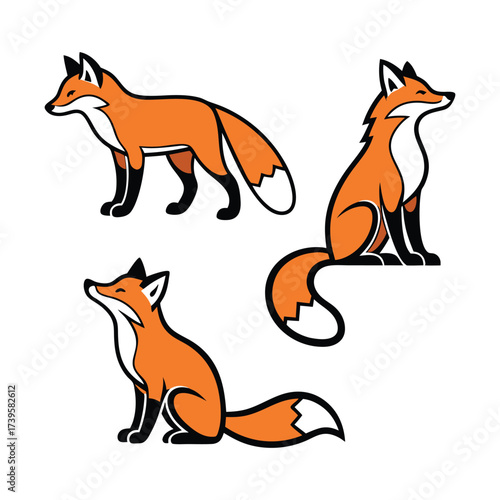 Three stylized illustrations of red foxes in different poses showing their distinctive orange fur and bushy tails against a white background