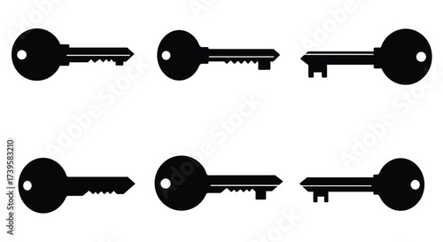 An assortment of simple black keys displayed in a grid arrangement