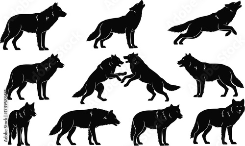 Black wolf silhouettes in various poses, running, jumping, standing, fighting, wildlife animal vector illustration, predator art, nature design for stock content