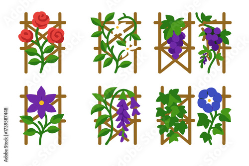 Vibrant Trellis Plants Icons. Flat vector icons of trellis plants: climbing rose, jasmine vine, grapevine, clematis, wisteria,