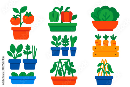 Flat Vegetable Icons. Flat vector icons of container vegetables: tomato pot, pepper planter, lettuce bowl, herb pots, radish