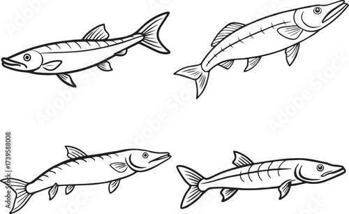 Set of pike fish outline vector illustration line art
