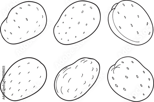 Collection of potato outline vector illustration line art