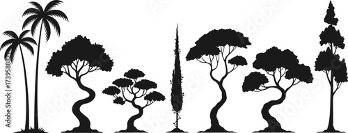 Flat vector tree silhouettes collection, tropical palm, bonsai, cypress, nature design elements, isolated black trees, landscape illustration set, decorative