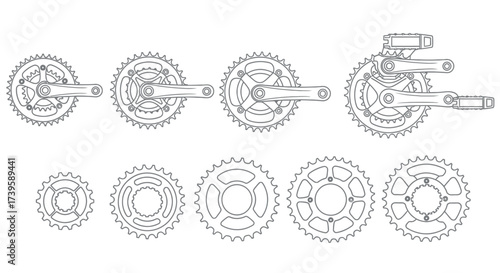 Detailed technical drawings of bicycle chainrings and cassette sprockets with exploded view components vector