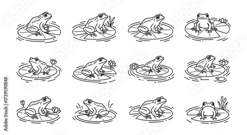 Set of twelve black and white line art illustrations of frogs on lily pads in various poses vector