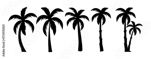 Palm tree silhouettes set black palm tree shapes collection  isolated vector on white background