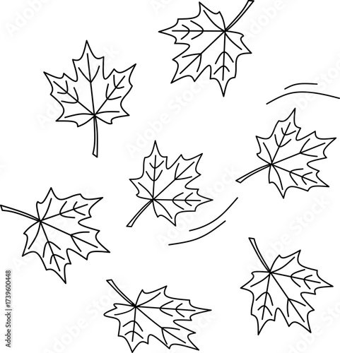 Falling Maple Leaves Swirling Line Art Drawing. Autumn Season Outline Vector