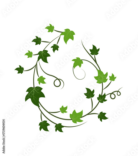 Green Ivy Vine Leaves Decoration – Climbing Plant Vector Design