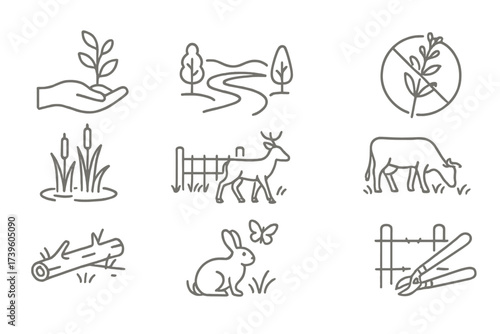 Rewilding Icons. Line style icons of rewilding interventions: tree planting, river re-meandering, invasive species removal,
