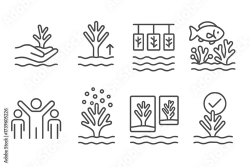 Coral Restoration Milestones. Line style icons of restoration milestones: first coral planted, growth benchmark, nursery expansion