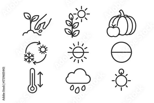 Seasonal Cycle Icons. Line style icons of seasonal cycles: spring planting, summer growth, autumn harvest, winter rest, seasonal