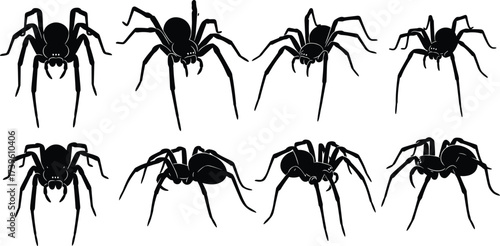 Spider silhouette vector set, eight black arachnids with varied leg positions, white background, creepy insect design, Halloween motif, entomology illustration