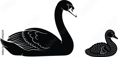 Swan silhouette vector, black bird illustration, elegant posture, animal pair, nature concept, feather detail, wildlife art, graceful waterfowl design
