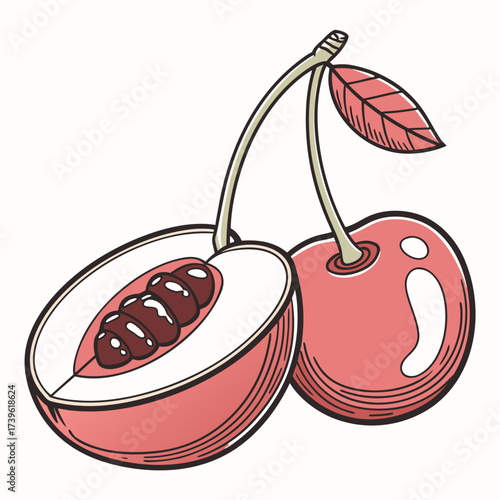 miracle fruit on white background 
