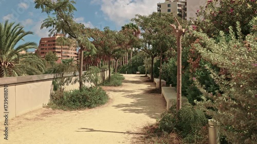 Peaceful park pathway surrounded by green trees, bushes, and benches on a sunny day in the city