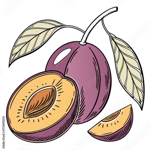 mexican plum with leaves
