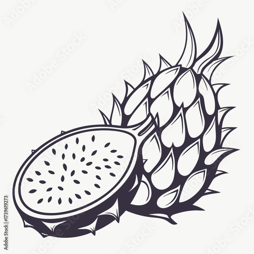 mexican pitahaya on white background 