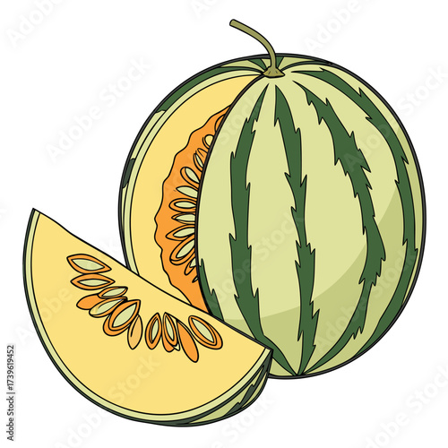 melon on white background 