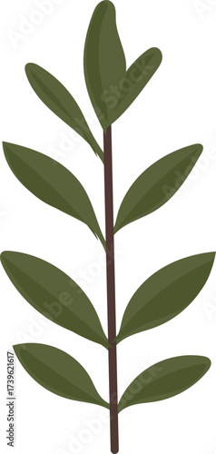 green leaves isolated