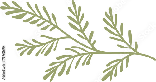 branch of rosemary