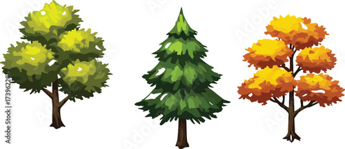 Seasonal tree illustration, spring summer autumn foliage, evergreen pine tree artwork,