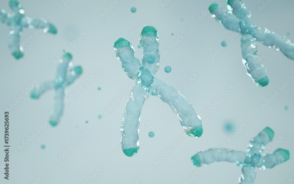 Obraz premium Structure of a chromosome, centromere, telomere. Epigenetic mechanism. Epigenetic factor, Methyl group, Gene, DNA, Chromosome. Genome sequence. Molecular biology.