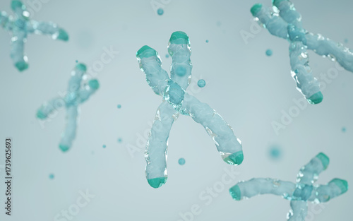 Photos Structure of a chromosome, centromere, telomere