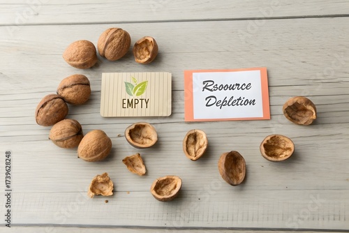 Flat lay of cracked walnut shells with empty and resource depletion labels