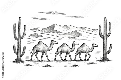 Desert Silhouette Scene. Desert sketch with camels, cacti, and sand dunes in black and white isolated transparent background