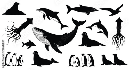 Vector illustration of collection of marine animal silhouettes including whales, dolphins, seals, penguins, and squids