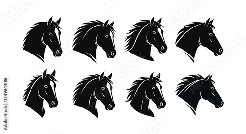 Vector illustration of silhouettes of horse heads in profile