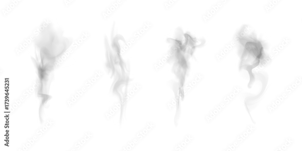 Fototapeta premium Realistic white steam cloud dust PNG effect