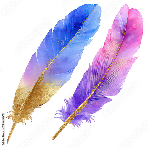 Two Colorful Feathers with Gold Glitter on Transparent Background
