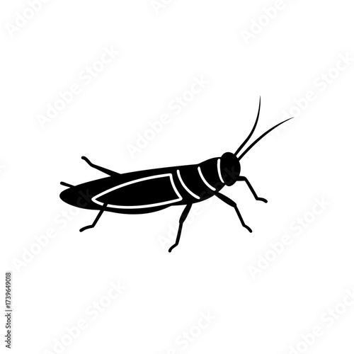 Illustration of a grasshopper with long antennae and segmented body in solid black on a white background on transparent background silhouette