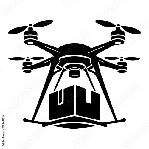 Drone Delivery Service