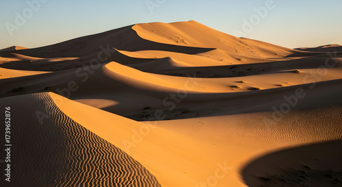 Fototapeta Naklejka Na Ścianę i Meble -  A scenic view of sand dunes with textured surfaces in a desert landscape during golden hour lighting