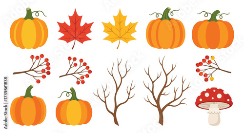 Autumn Harvest Elements Pumpkins Maple Leaves Berries Branches Mushroom Vector Set