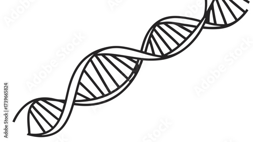 Illustration of a dna double helix structure with visible strands on a white background image