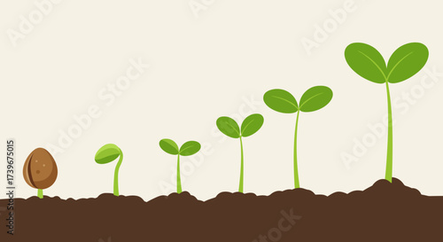 Seedling development stages shown in a line across dirt against a cream backdrop