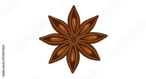A brown eightpointed star anise with dark brown borders and light brown centers on a white background