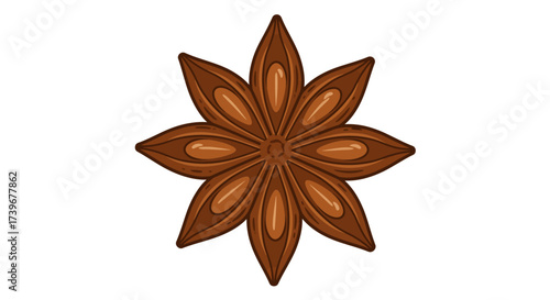 A brown star anise with eight points featuring darker brown edges and oval seeds within each section