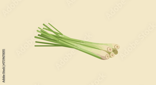 A bundle of lemongrass is depicted displaying green stalks and textured ends