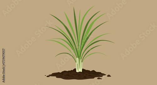 A plant with green stalks emerging from a mound of dark brown soil on a light brown background