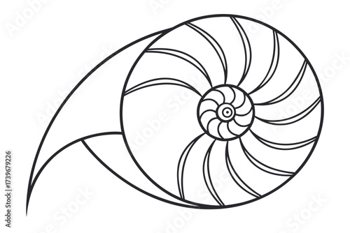 Simple Nautilus Shell Design in Black and White Outline