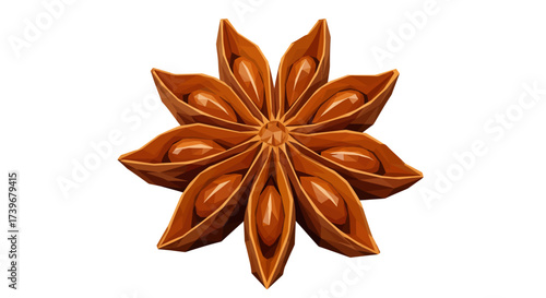 A stylized brown star anise seed pod is centered against a white background