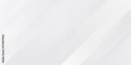 White abstract background. Silver effect texture. Light gray colour textur. Grey platinum pattern. Modern backdrop. Gradient delicate surface print. Design bg for business prints. Vector illustration